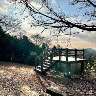 桜山はいろんなコースがあるので、ちょうど10キロになるようにチョイス🏃‍♂️