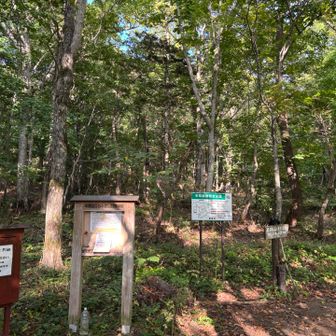 比羅夫コース登山口到着〜
ただし自分は半月湖駐車場に🚗停めていたのでゴールまで、もう少し歩きます



追伸
全コースとも笹刈りされていて、とっても歩きやすかったです！コース整備ありがとうございます。（おかげでこういったチャレンジをする事が出来たと思っています！）