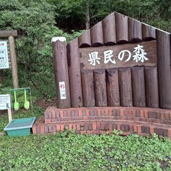 下山
登山靴を洗うブラシが設置された