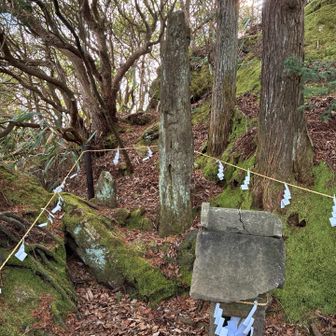 パワースポットらしい