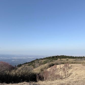 今日はほんと天気良い