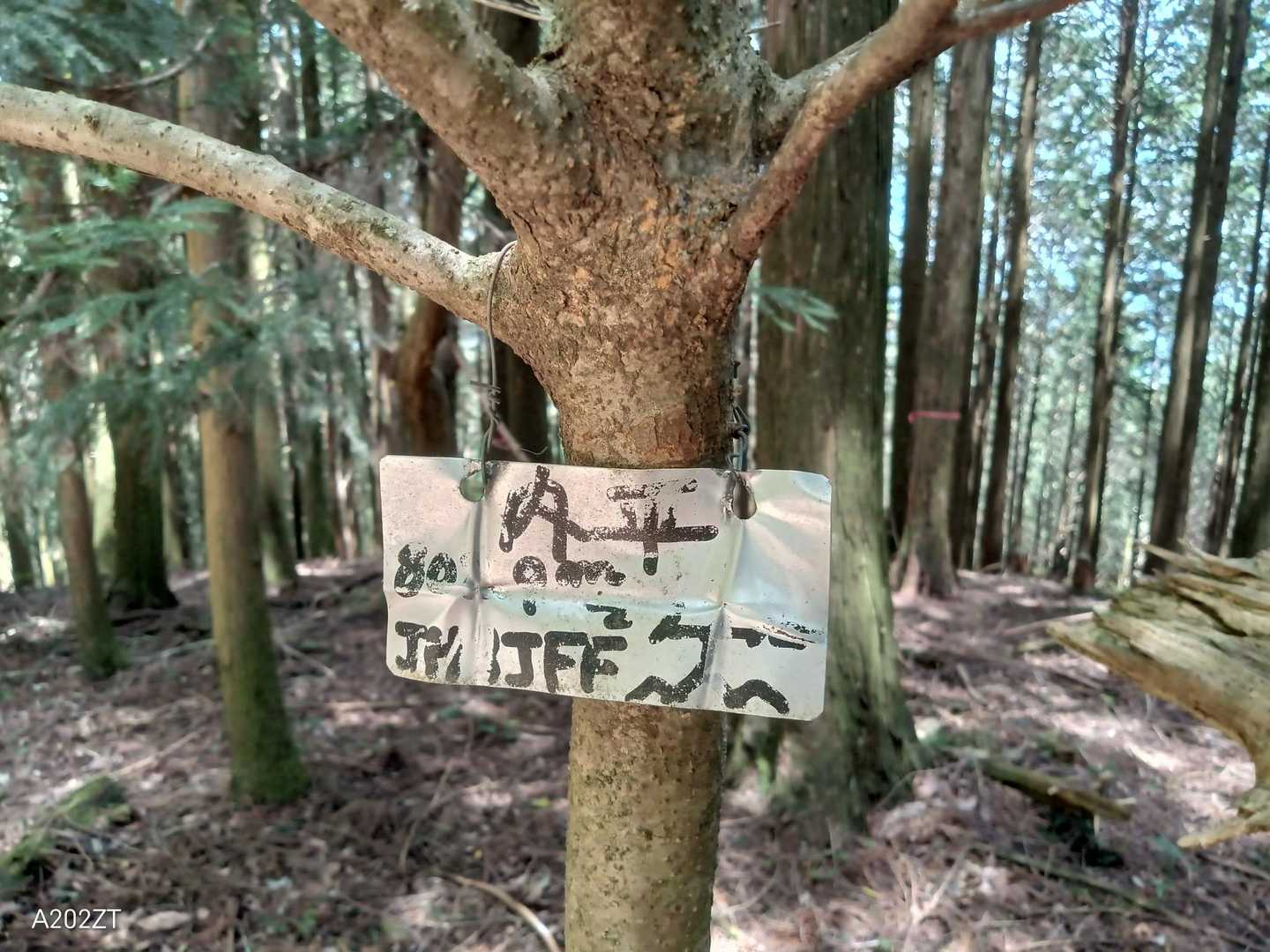 このプレート 三角点から5m離れているだけなのに意外に目立たない
見つけたロクスケ君に🎊