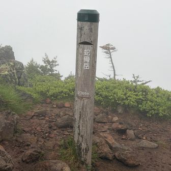 蛇骨岳（じゃこつだけ）（標高2,366m）