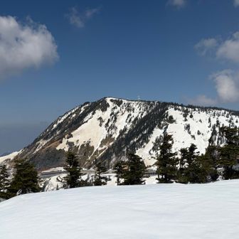 振り返ると横手山🏔️