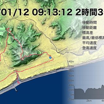 海岸線には、海岸段丘が続いている