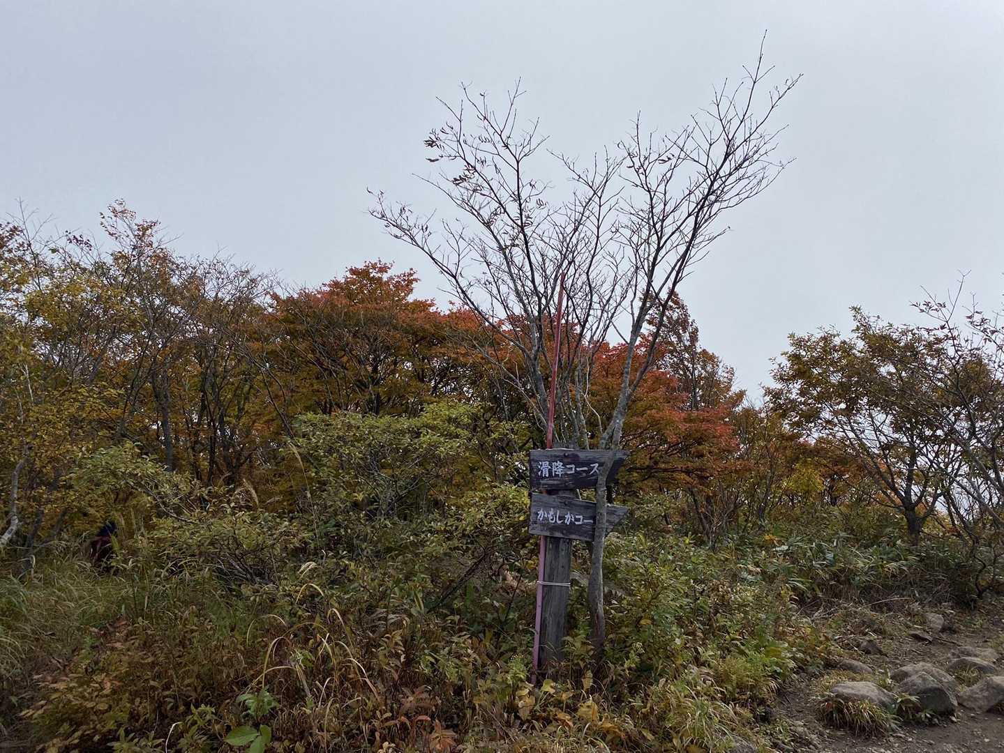 下降コース入口-お分れ峠-泉ヶ岳 往復コースの写真