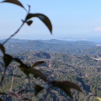 富士山眺めながら
