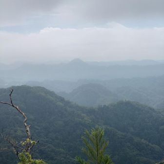 鋸山かな？