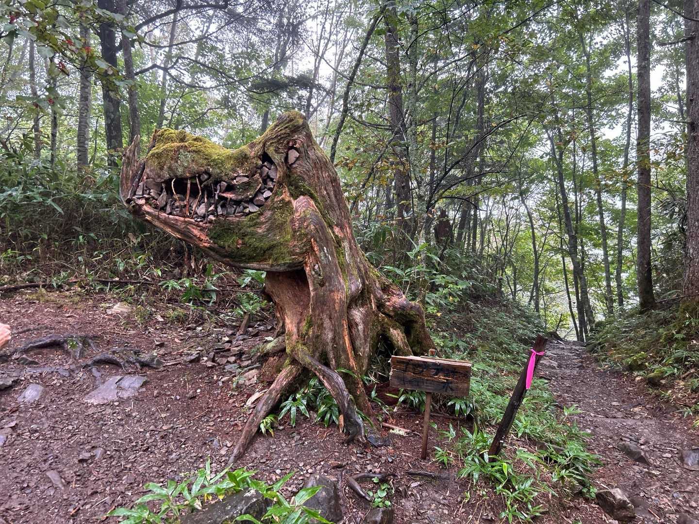 三股登山口-蝶ヶ岳-蝶槍 往復コースの写真