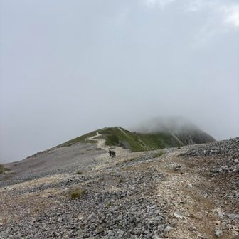 おー〜寒い寒い🥶