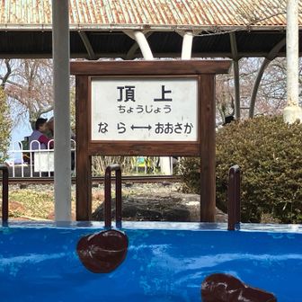 生駒山遊園の汽車の乗り物の線路の中に生駒山山頂がある