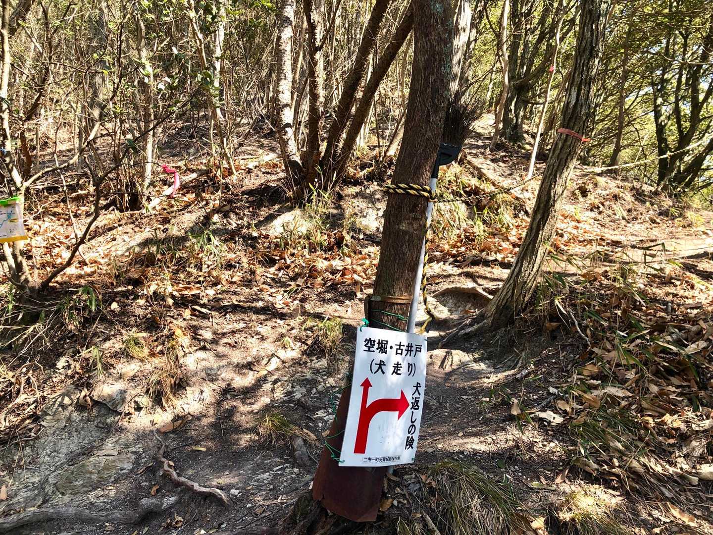 さあ、ここから急登に入ります
犬返しの険が近いのでもちろん右上へ↗️