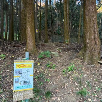 ここから山に入ります