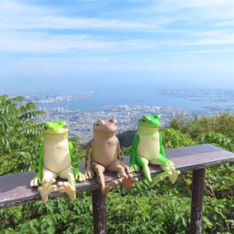 掬星台 展望所から
 🐸🐸🐸