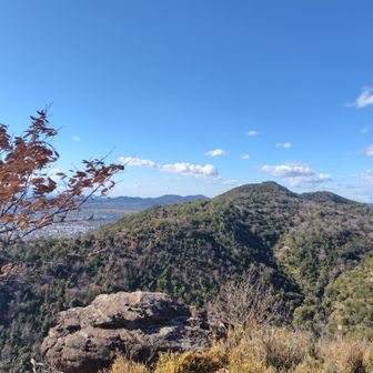 高さがなくても開けるといいですわね