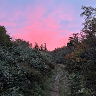 水平道からのモルゲン