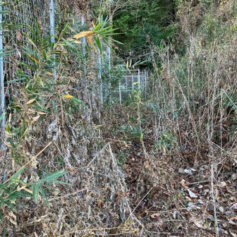 登山口（下山口）