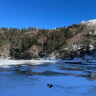 弥陀ヶ池まで戻ってきました😀
溶けている気がします😅