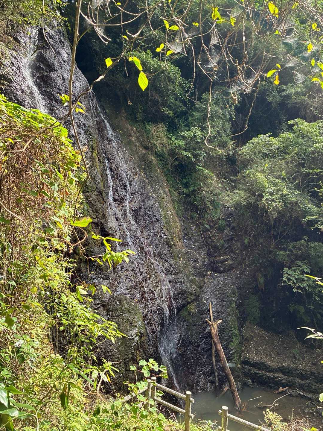 坊滝