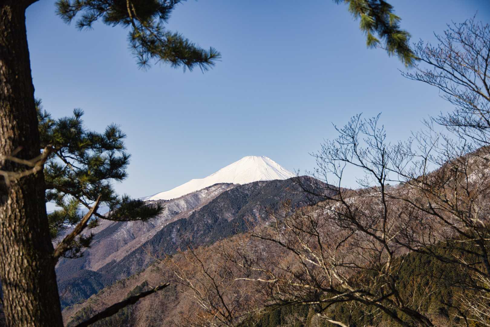 寄バス停-櫟山-栗ノ木洞-後沢乗越-鍋割山-小丸-花立ノ頭 縦走コースの写真