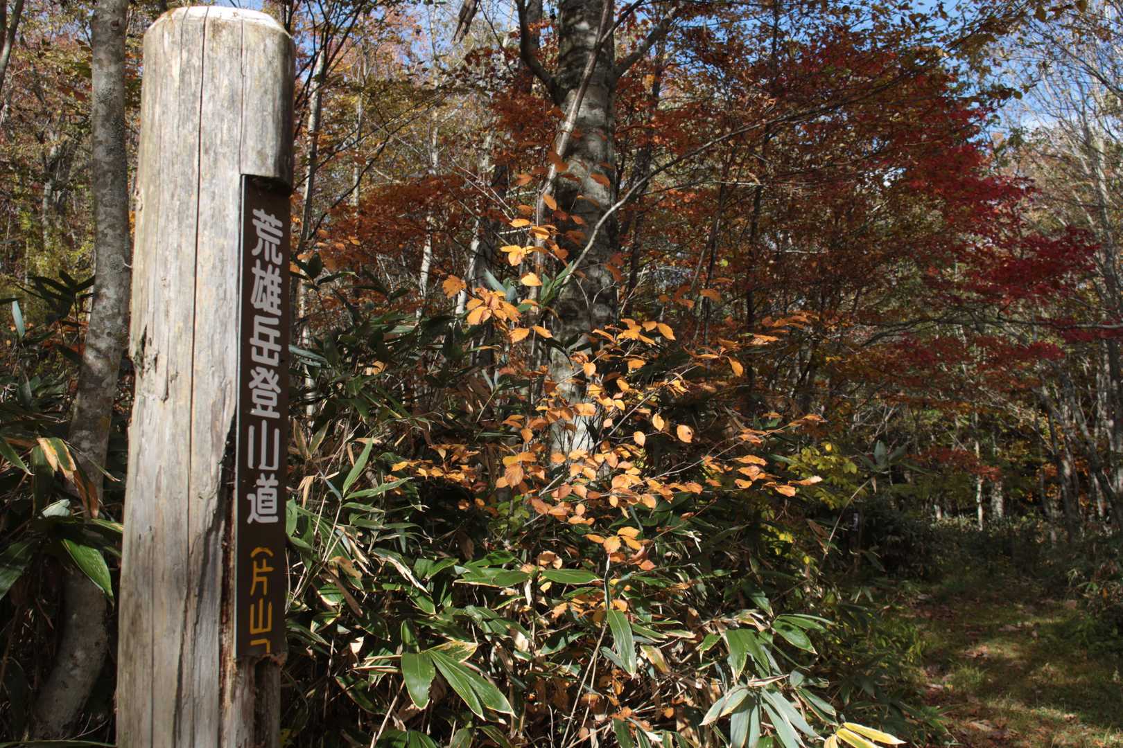 登山口🏃