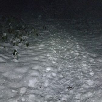 トレースを頼りに、ナイトスタート