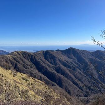 1番奥、右端の高い山が塔ノ岳です。奥に見える海と、これから歩く主脈が丸見えのいい景色🎵✨