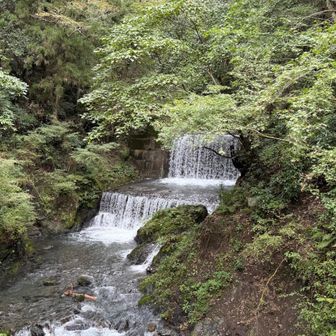 相模湖の入り口。
水量多くて迫力があります。
