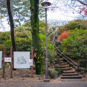 続いて戸山公園到着
階段登ると箱根山