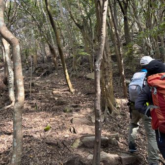 天徳寺を抜けて登山道に入る。
