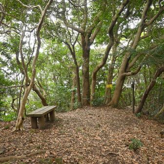 展望はありませんが、ちょっとしたスペースにベンチもあります。