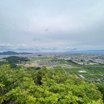 平野を見晴らす