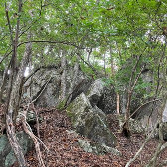 鎌倉時代にこの岩の上で悲劇がおきたらしい？？