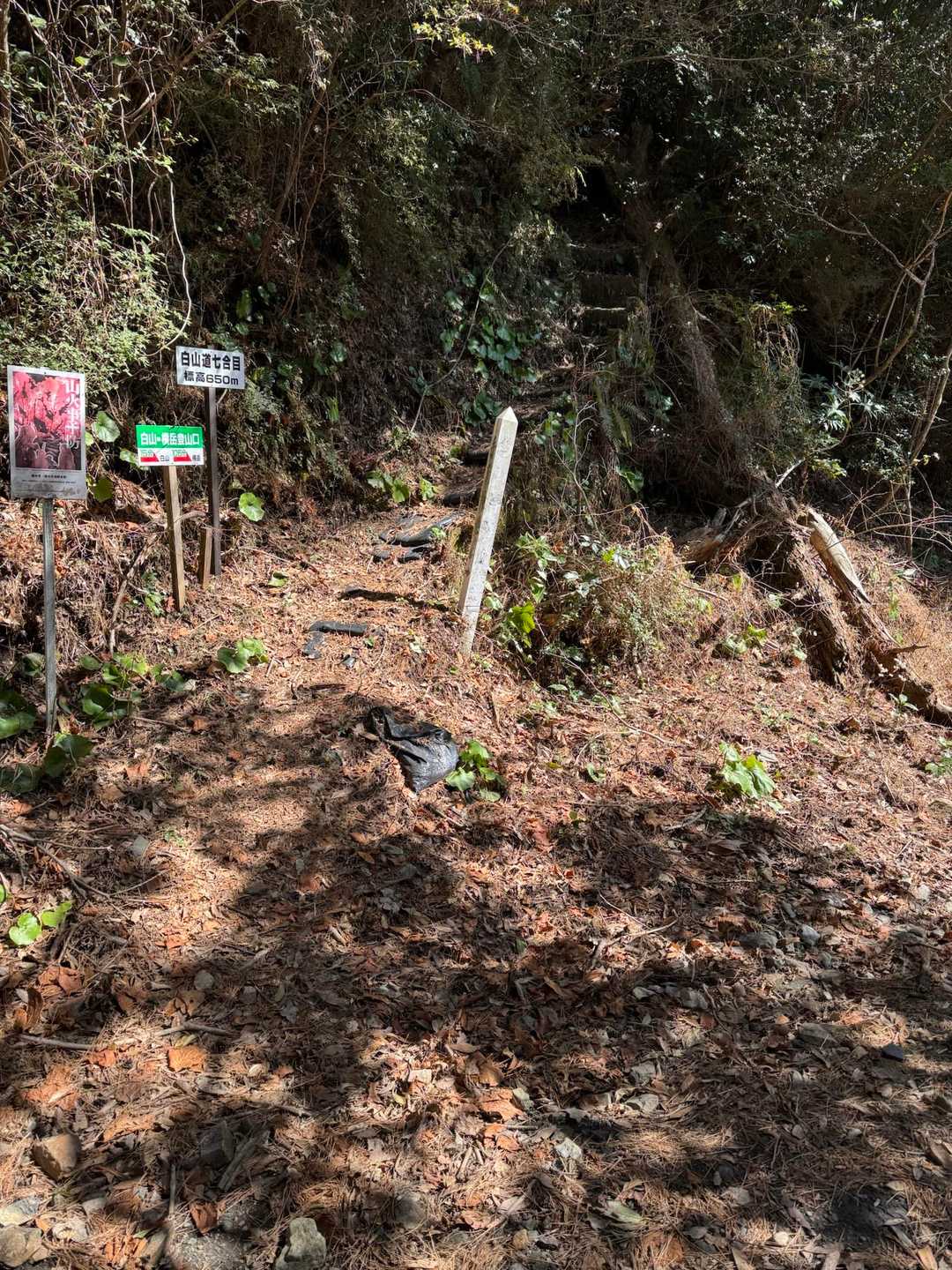 分岐点
白山7🈴👀あと一息ですよー
がんばろ👍

帰り道まさかこの場所で😱💦