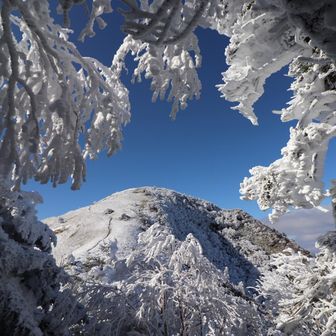 隙間から鞍瀬ノ頭