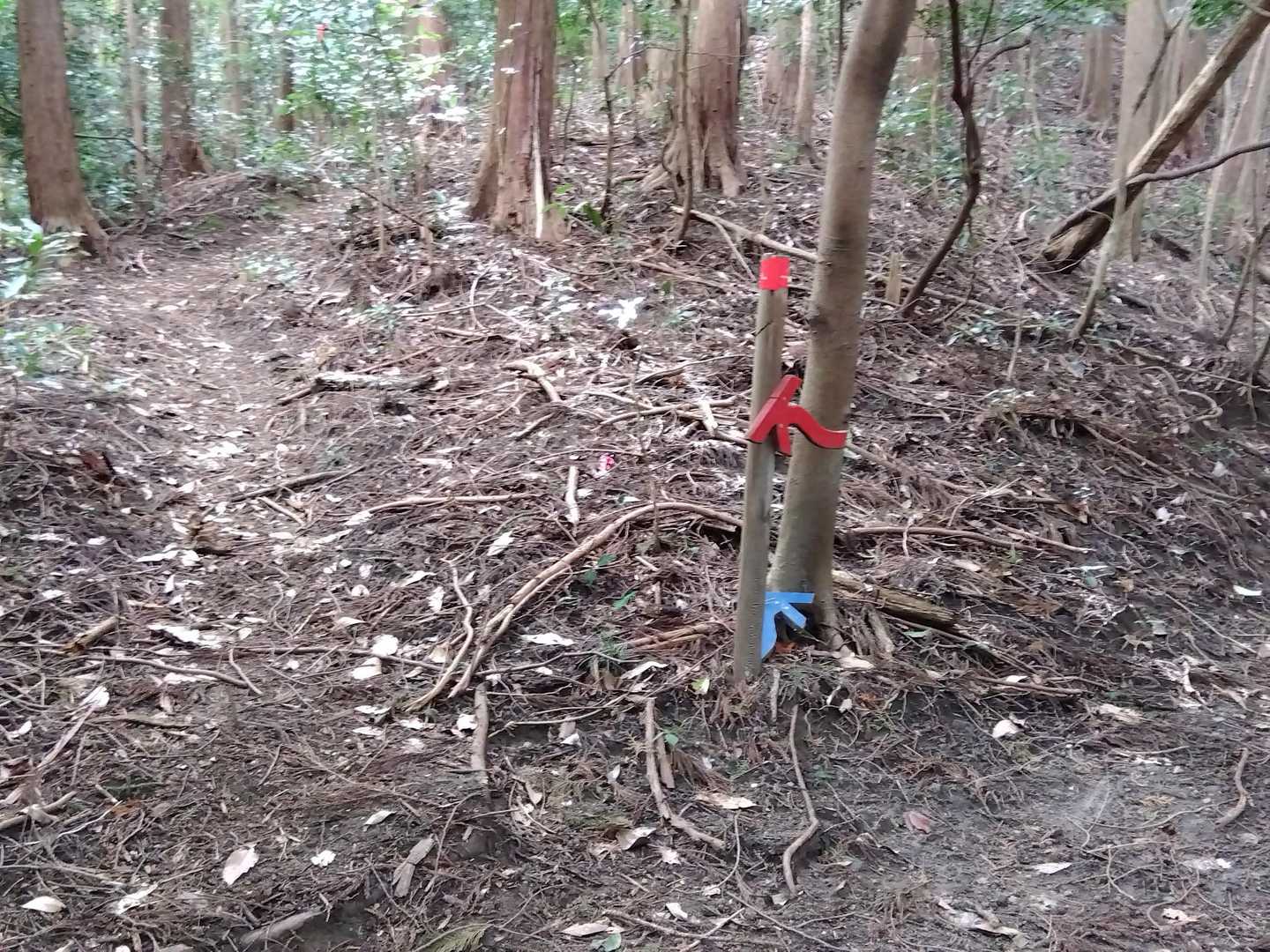 オルレの経路にもなっているようです。