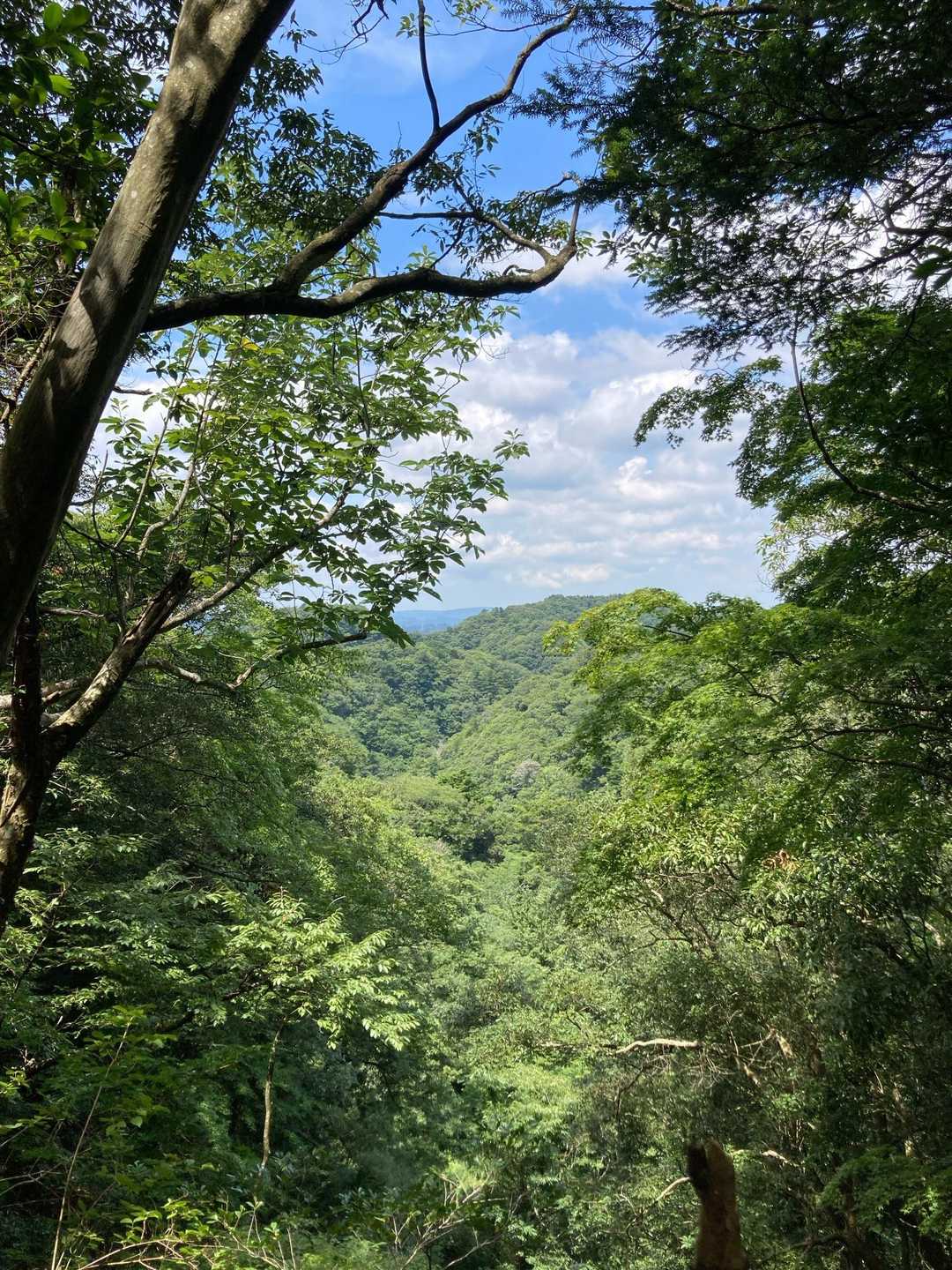 地蔵峠-元清澄山 往復コースの写真