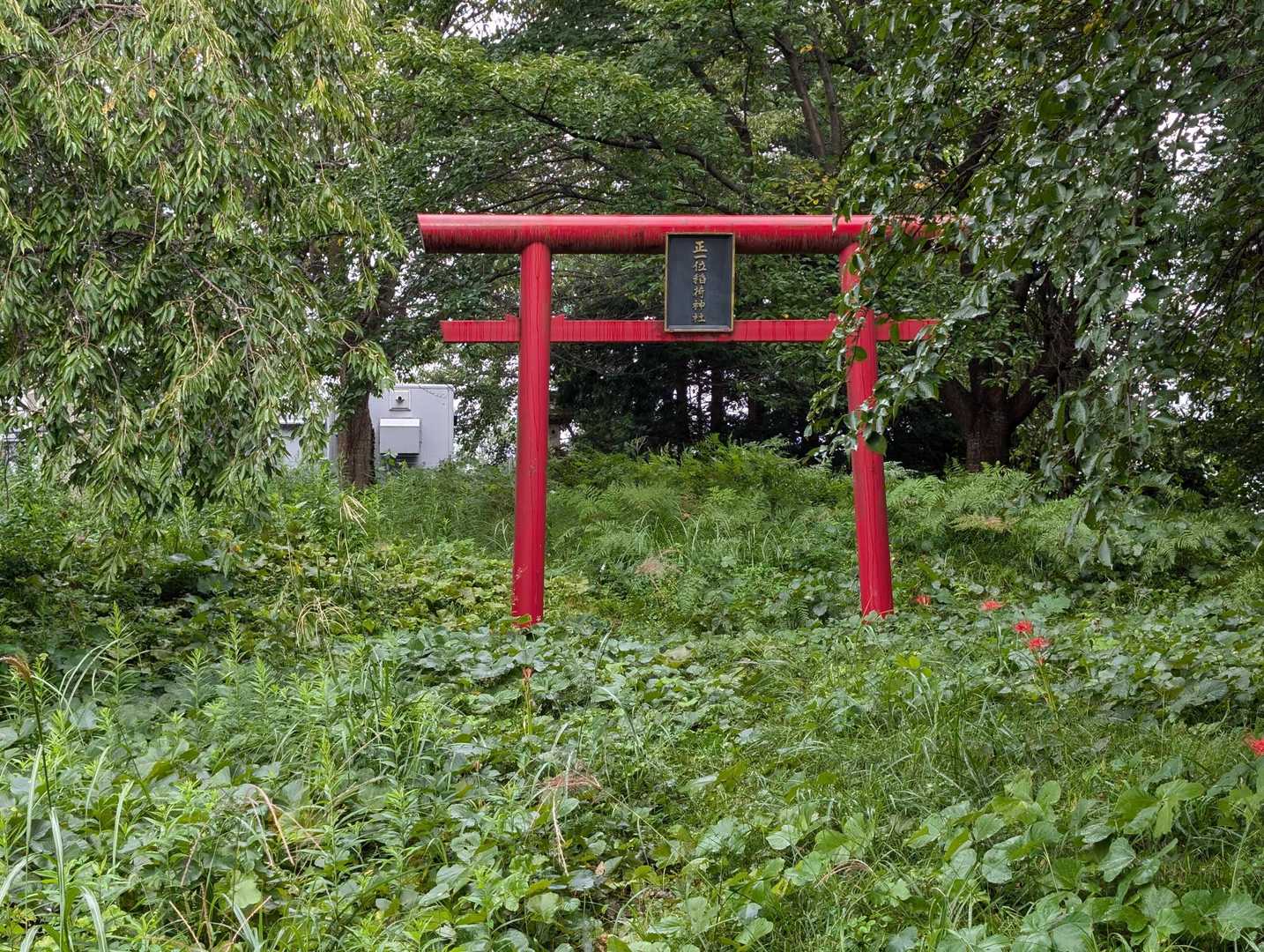 KDDIのアンテナ脇に見えたからヨシ