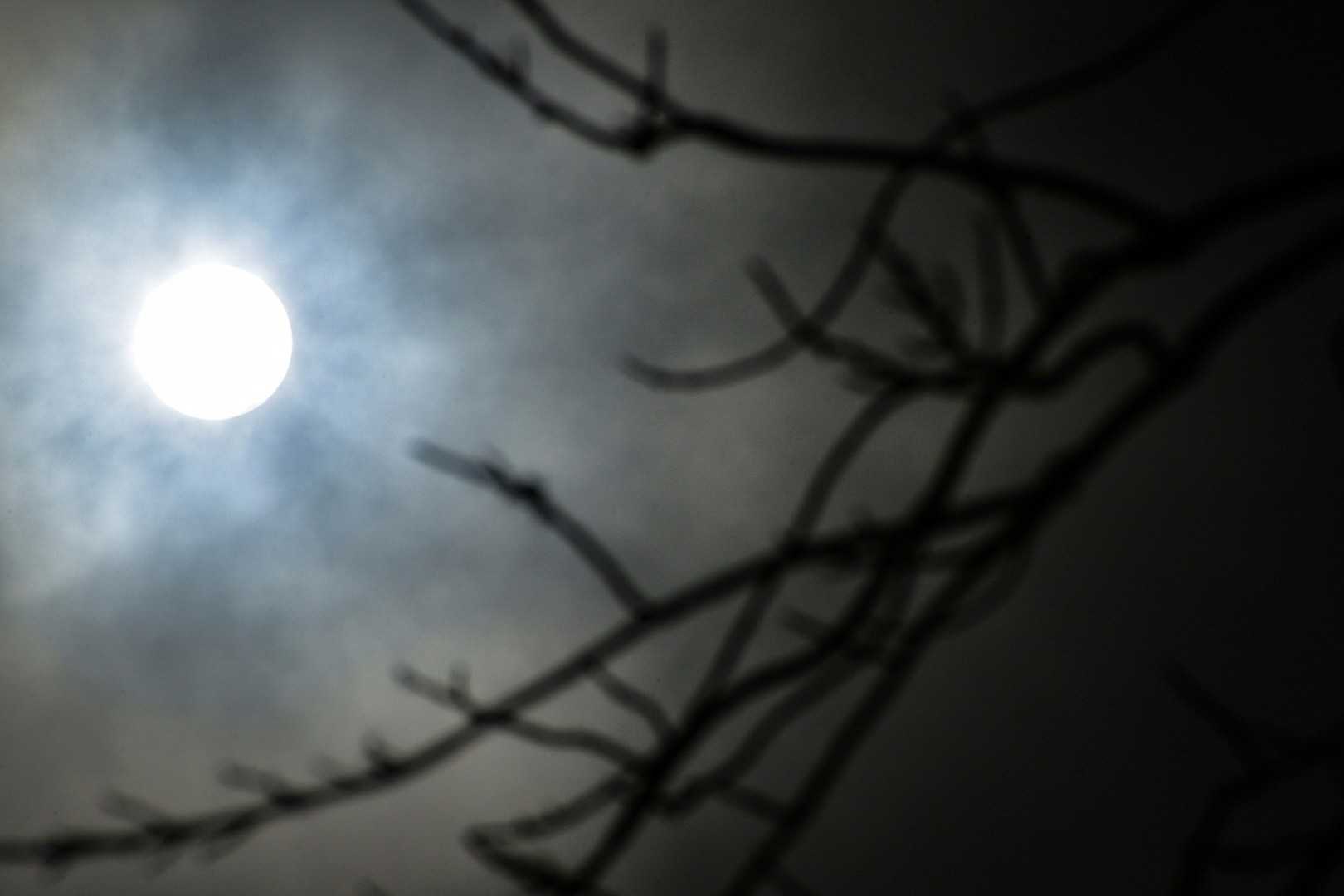 西野山の写真