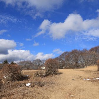 振り返って、さようなら👋