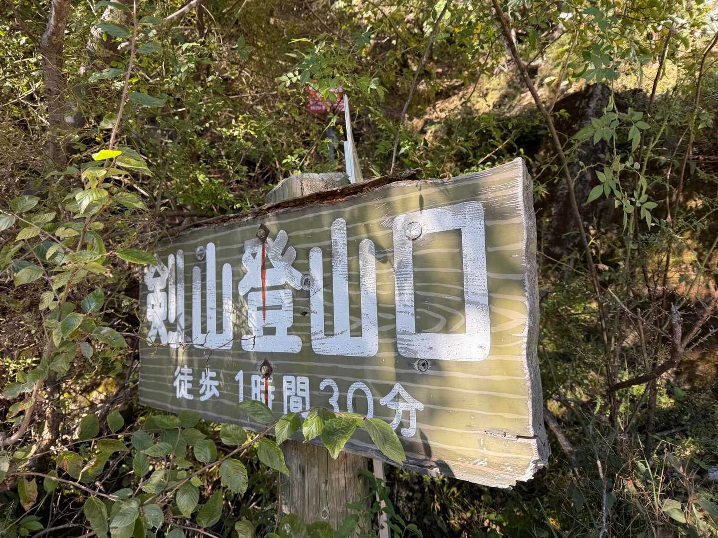 ここまでまだゆるゆる下り
ここから地獄の登り返し
