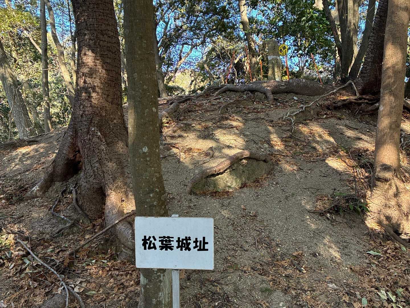 松葉城址

山の頂上、ここに築城する訳がわかります。
当時は木がなかったでしょうね。
回りがぐるっと見渡せます。

築城年はわからないが、このあたりの土豪、河合さんという一族が住んでいた城、明応５年に攻撃を受けて、廃城となったよう。
