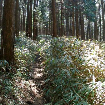 こっちだよ！どう考えてもこれは行きにくい。でも正解。