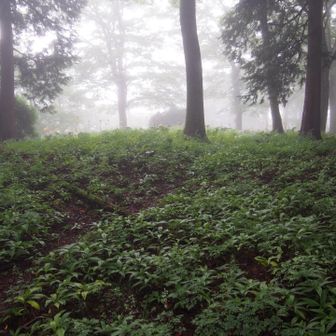 標識はありません