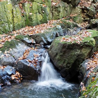 いくつもあったりして…