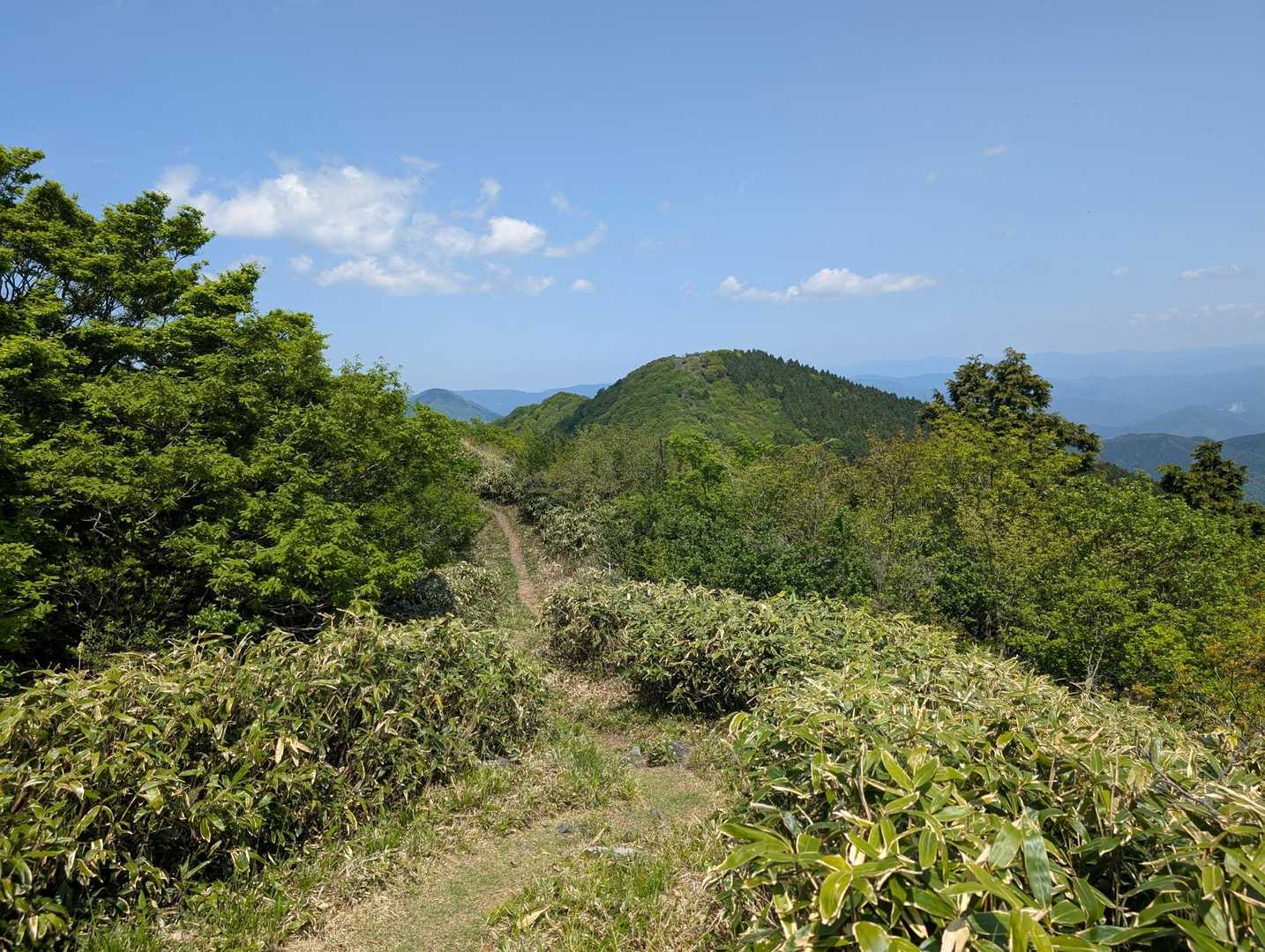 日差しが届かない樹林帯を過ぎて
3つ目のピーク 泉山が目の前に…
最後の登りがきつそう😂