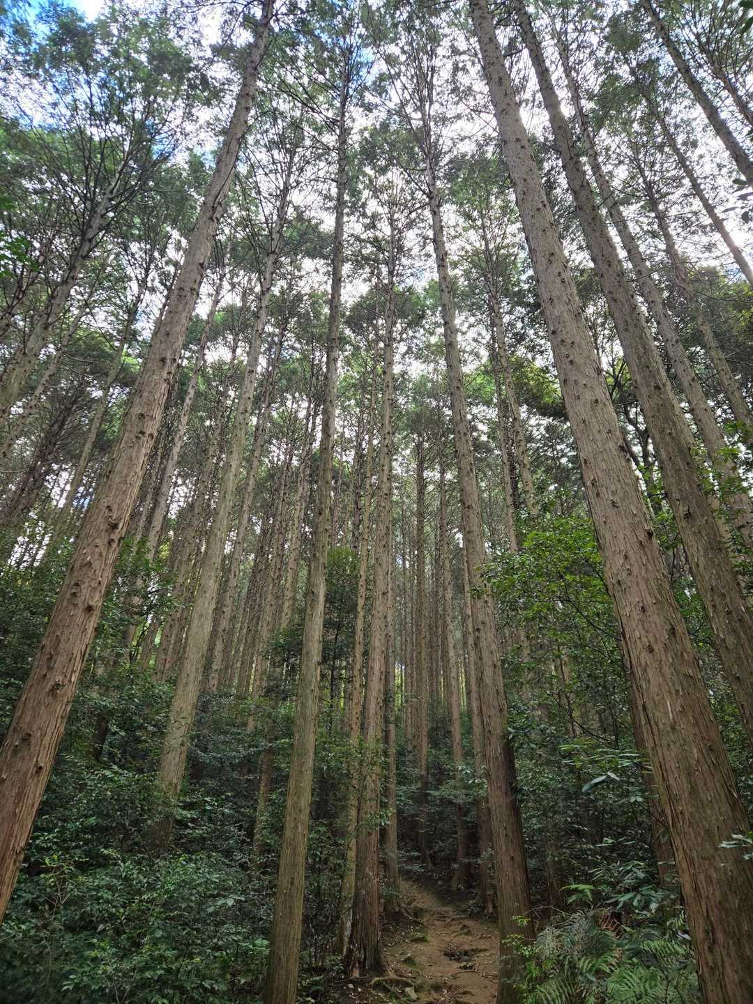 ちれい✨