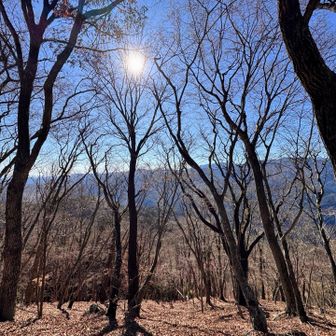 気温5℃くらいほぼ無風
快適です