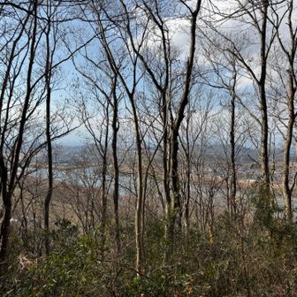 戻ってきたよ！

この少し後に何かの鳴き声💦
急いで下山しました💦