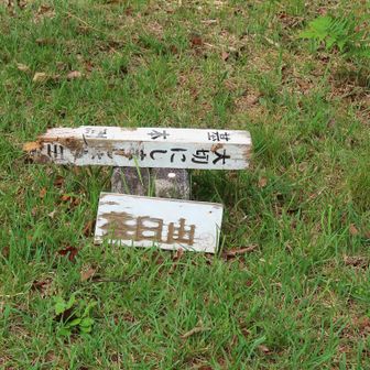 またまた車移動で茶臼山